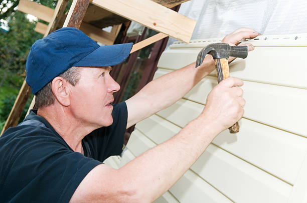 Affordable Siding Repair and Maintenance Services in Mio, MI